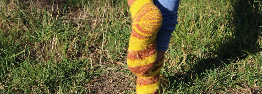Bee socks, cotton and fun motif
