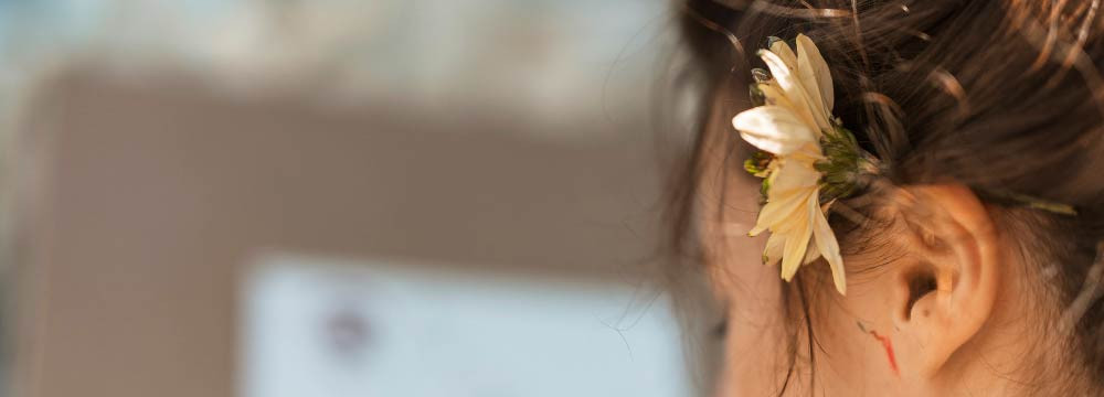 Bee earrings: studs, drops, silver & gold plate