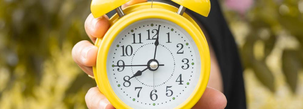Bee clock, decorative nature wall clock