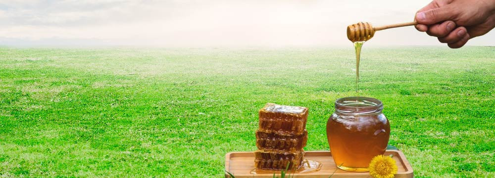 Honey dipper, wooden server to serve honey