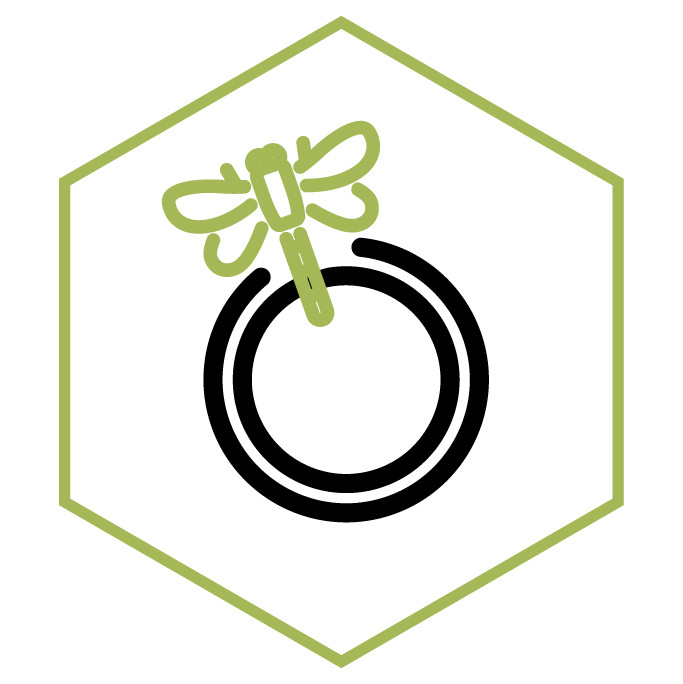 category icon Dragonfly Rings