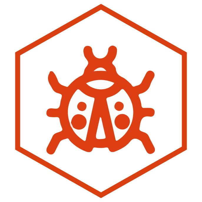 category icon Ladybugs