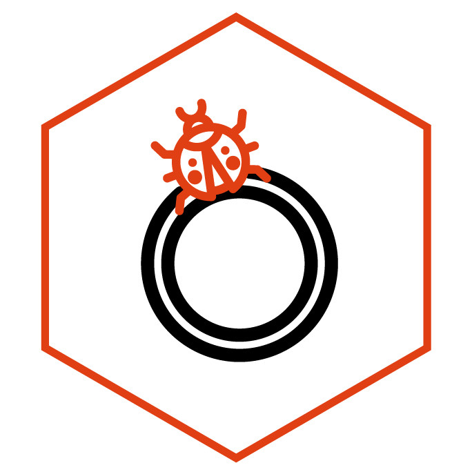 category icon Ladybug Rings