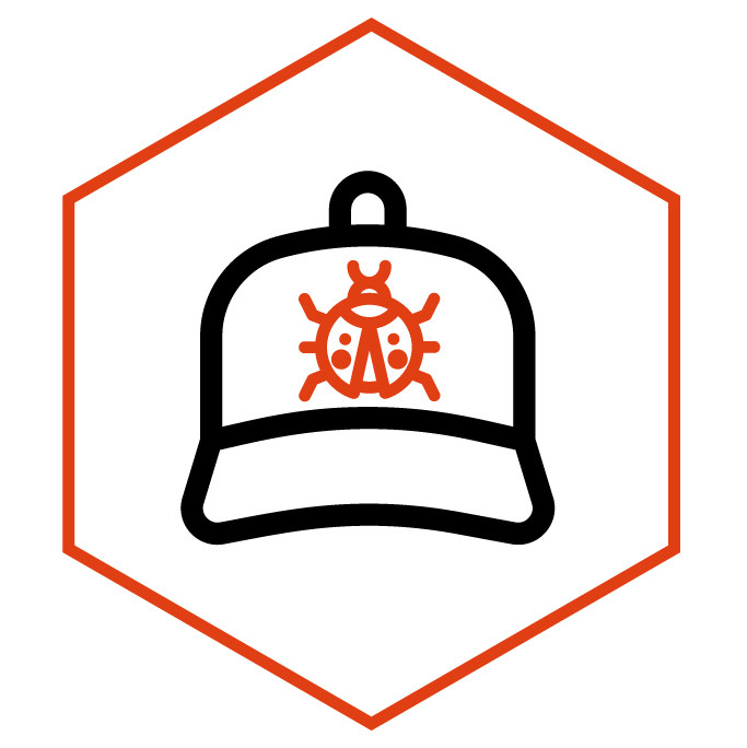 category icon Ladybug Cap