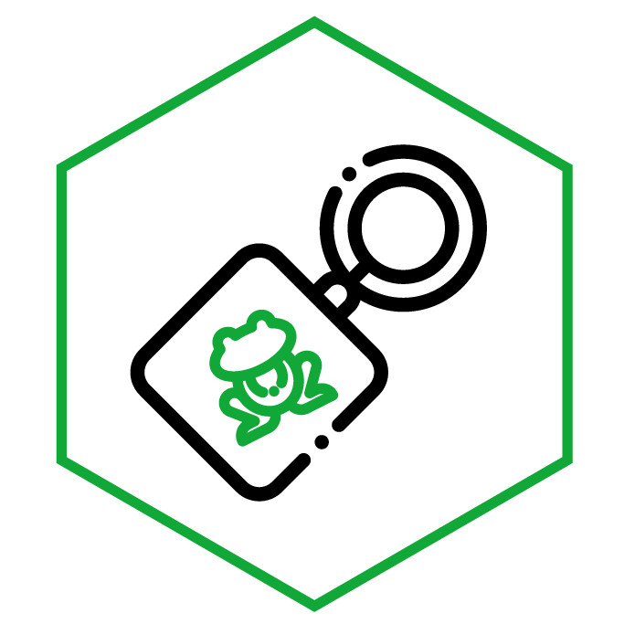 category icon Frog Keychains