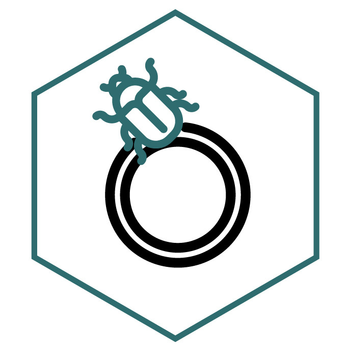 category icon Scarab Rings
