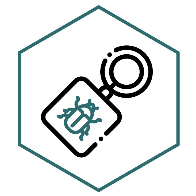 category icon Scarab Keychains