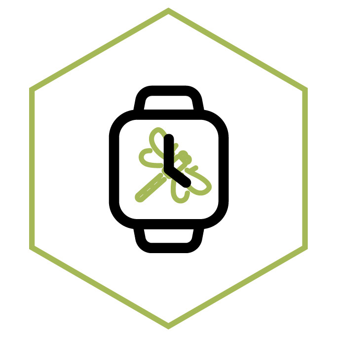 category icon Dragonfly Watch