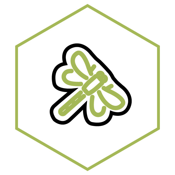 category icon Dragonfly Stickers