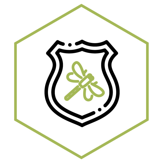 category icon Dragonfly Patches & Emblems
