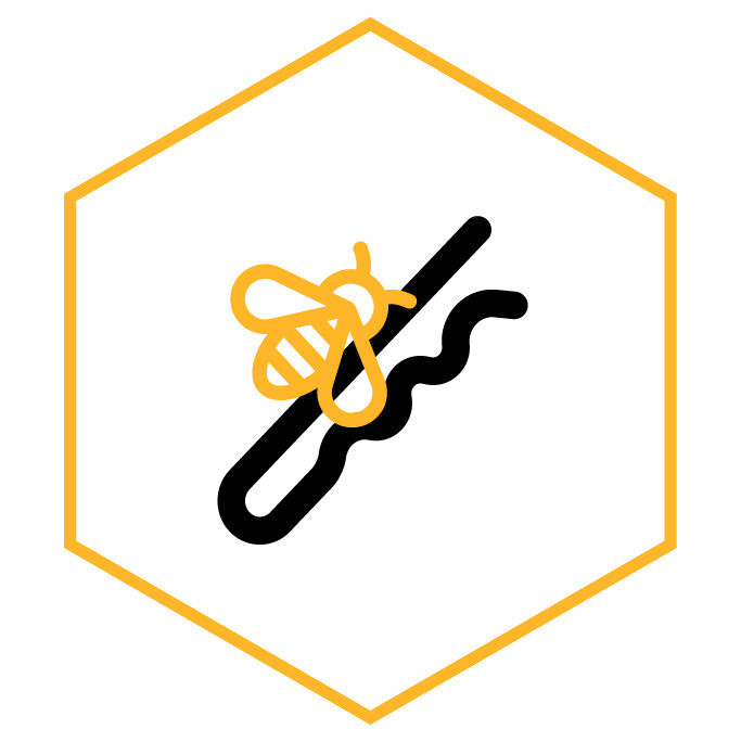 category icon Bee brooches