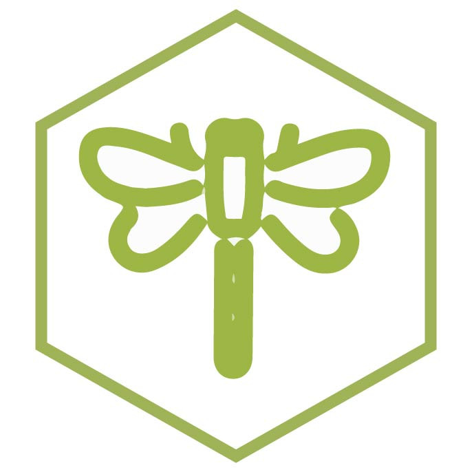 category icon Dragonflies