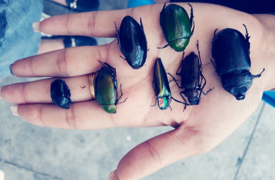 Jewellery and accessories inspired by the scarab and nature