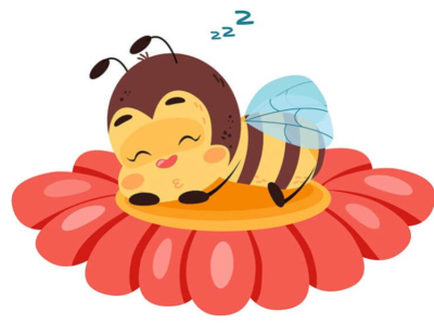 Do Bees Sleep?