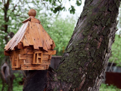 How to Install a Bee House at Home?