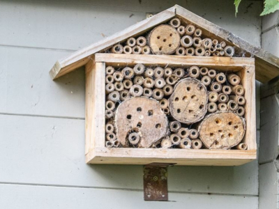 What is an Insect Hotel or Bug House?