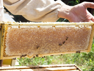 What is Beeswax?
