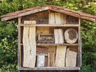 Is a Bee Hotel Really Useful?